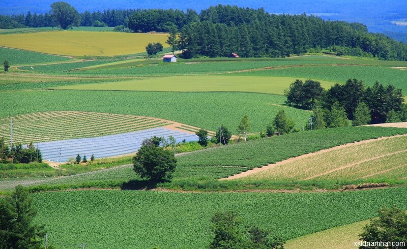 nông nghiệp đảo hokkaido