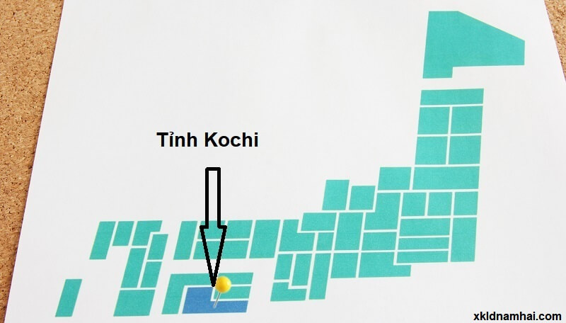 Vị trí địa lý tỉnh Kochi Nhật Bản