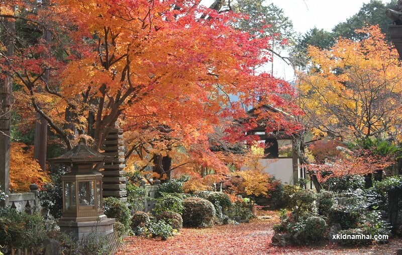 Kyoto mùa thu