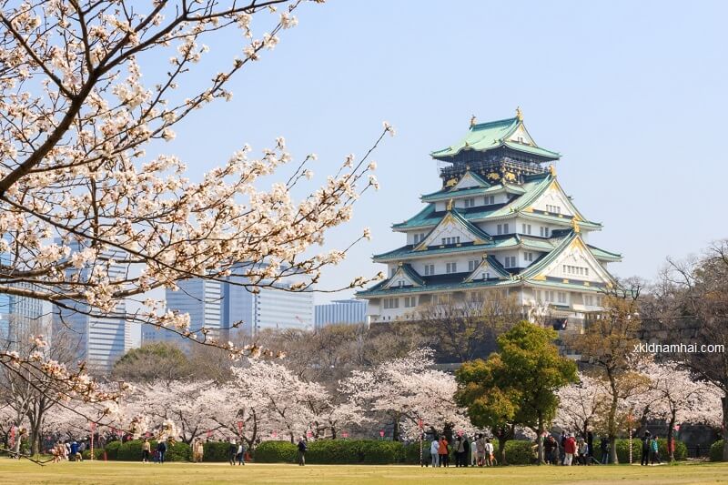 Lâu đài Osaka nhìn từ xa