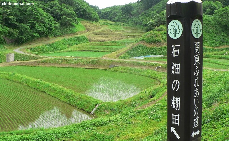 Nông nghiệp tỉnh Tochigi